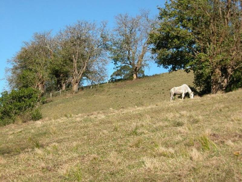 498 Woodhill Mountain Road, Berry NSW 2535