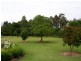 20 Tartarian Crescent, Bomaderry NSW 2541