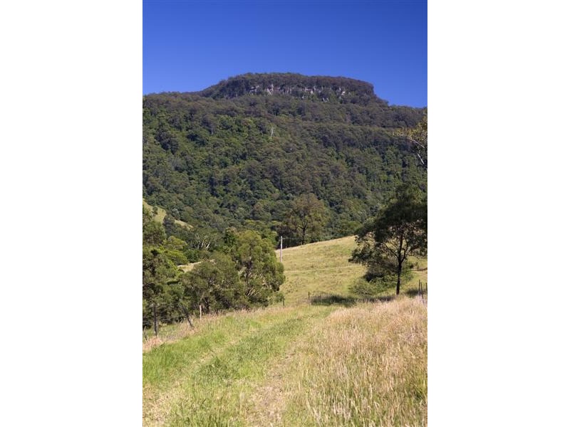 421 Woodhill Mountain Rd, Berry NSW 2535