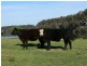 Nowra NSW 2541