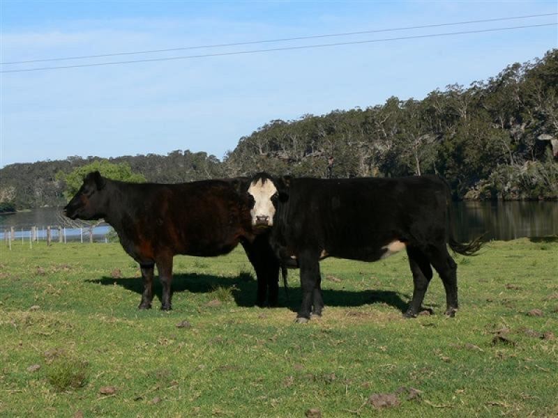 Nowra NSW 2541