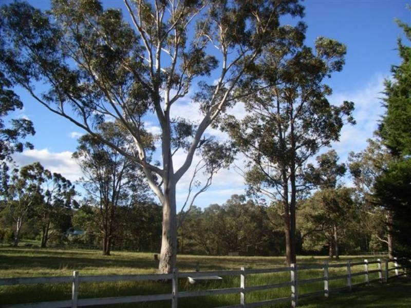 216a Woollamia Road, Woollamia NSW 2540