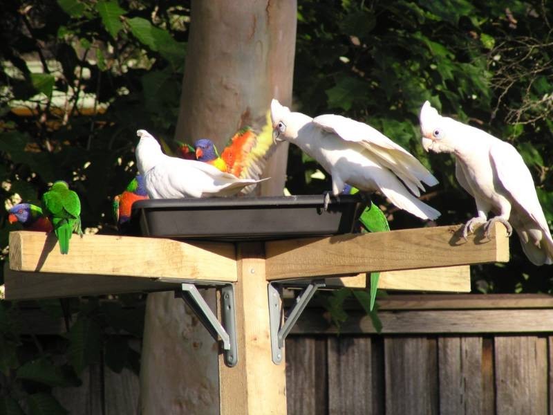 Shoalhaven Heads NSW 2535