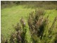 Nerriga NSW 2622
