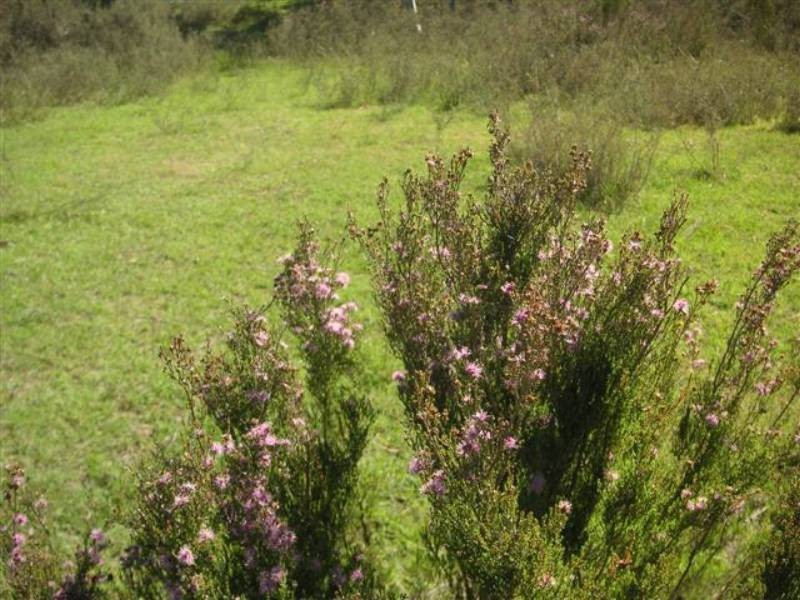 Nerriga NSW 2622