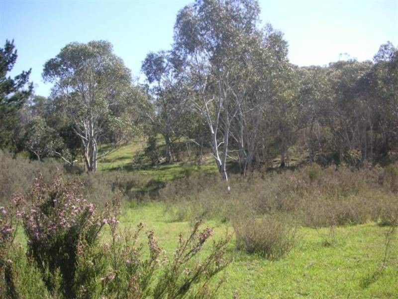 Nerriga NSW 2622