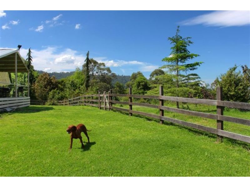 335 Strongs Road, Berry NSW 2535