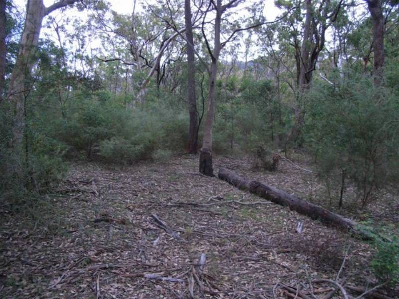 166a Bendeela Rd, Kangaroo Valley NSW 2577
