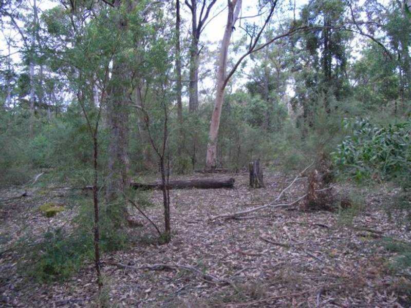 166a Bendeela Rd, Kangaroo Valley NSW 2577