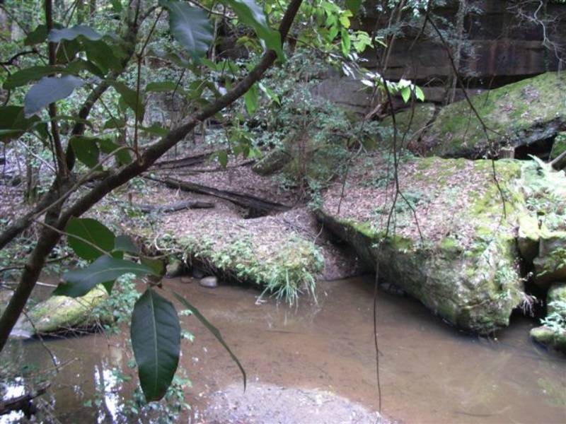 166a Bendeela Rd, Kangaroo Valley NSW 2577