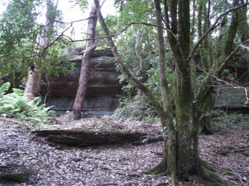 166a Bendeela Rd, Kangaroo Valley NSW 2577