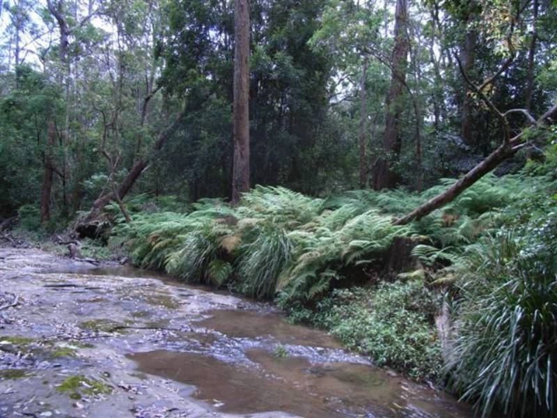 166a Bendeela Rd, Kangaroo Valley NSW 2577