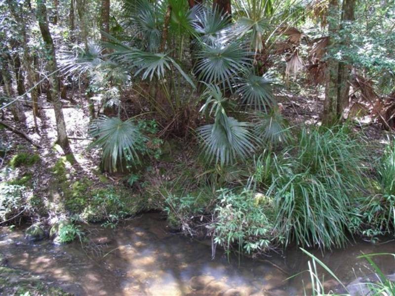 166a Bendeela Rd, Kangaroo Valley NSW 2577