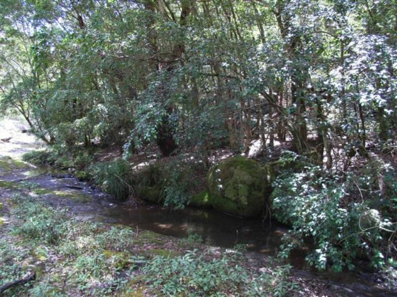 166a Bendeela Rd, Kangaroo Valley NSW 2577