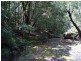 166a Bendeela Rd, Kangaroo Valley NSW 2577