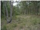 Lot 109 Burralee Drive, Worrigee NSW 2540