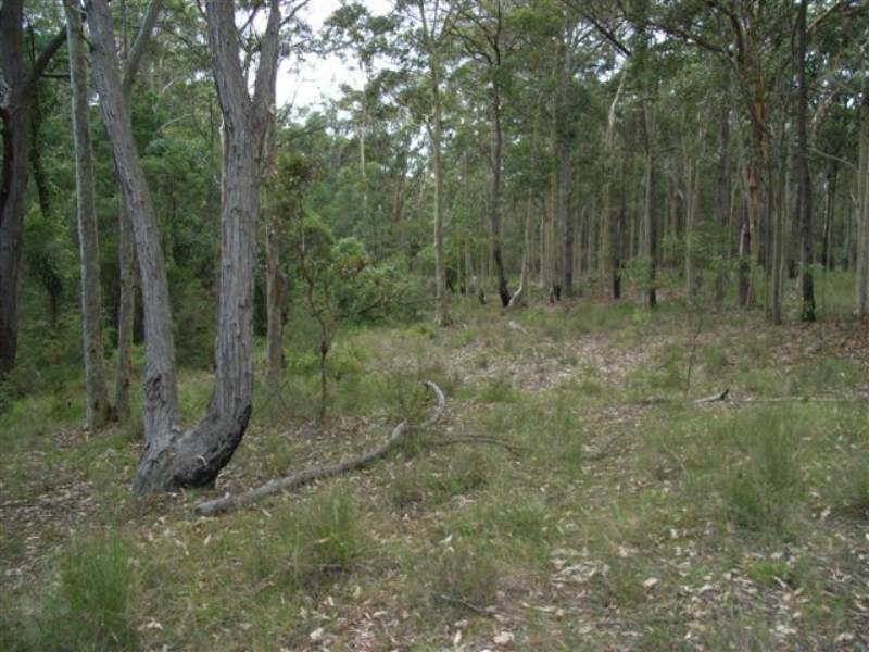 Lot 109 Burralee Drive, Worrigee NSW 2540