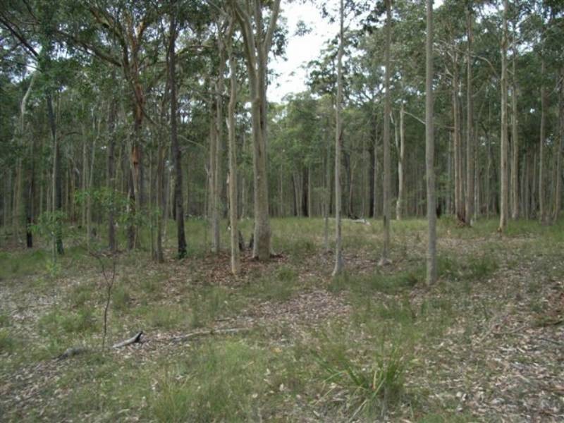 Lot 109 Burralee Drive, Worrigee NSW 2540