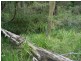 Lot 109 Burralee Drive, Worrigee NSW 2540