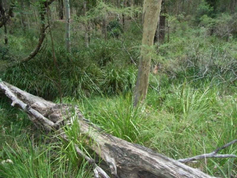 Lot 109 Burralee Drive, Worrigee NSW 2540