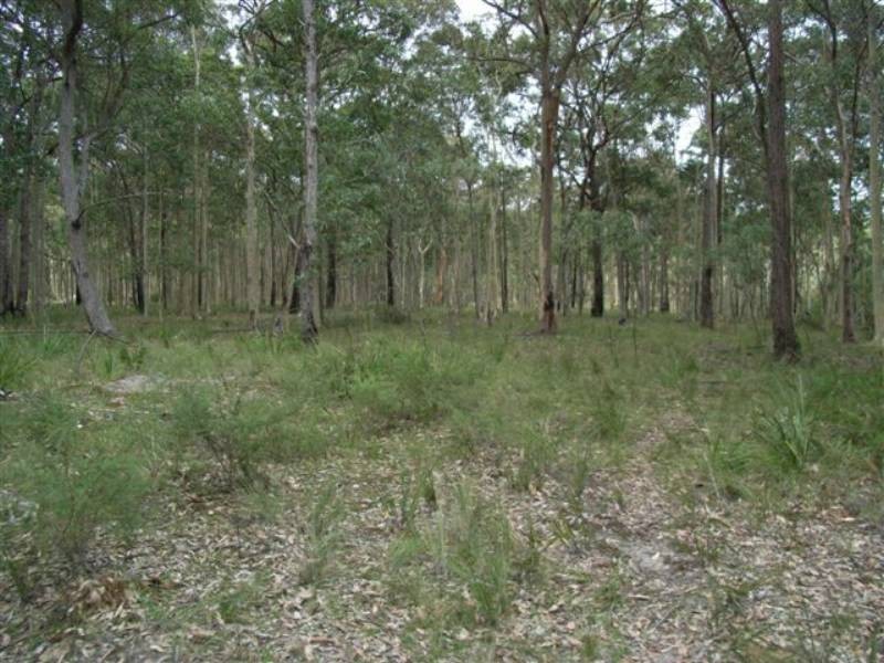 Lot 109 Burralee Drive, Worrigee NSW 2540