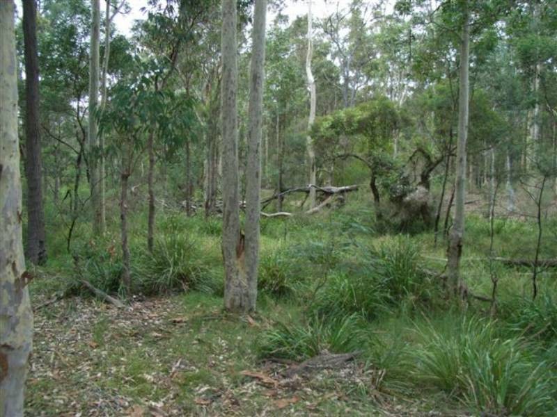 Lot 109 Burralee Drive, Worrigee NSW 2540