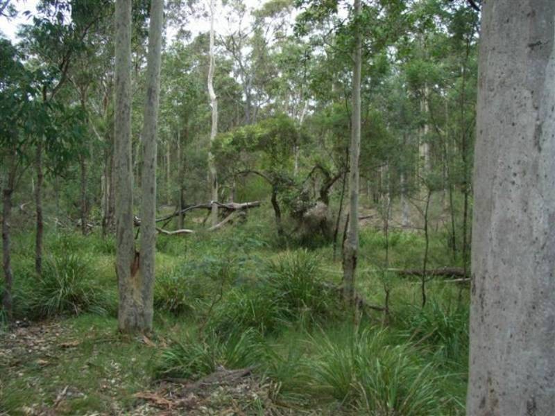 Lot 109 Burralee Drive, Worrigee NSW 2540