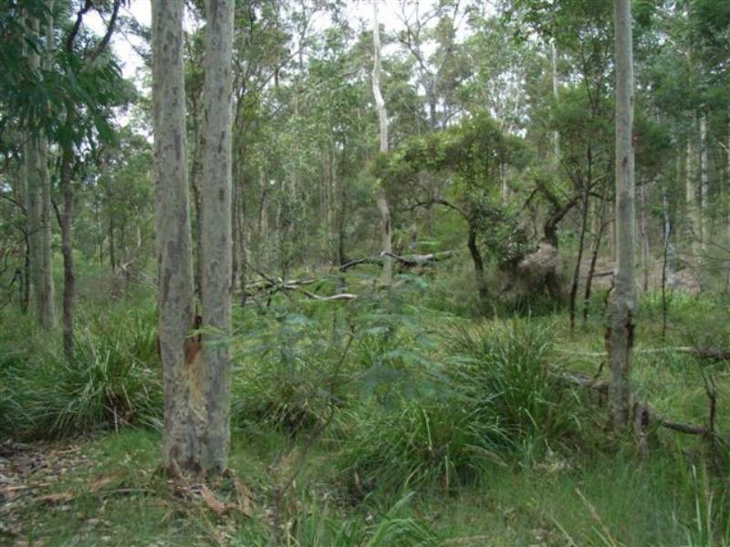 Lot 109 Burralee Drive, Worrigee NSW 2540