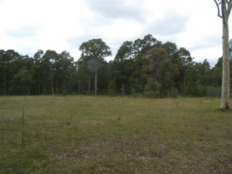 Lot 102 Forest Meadow Way, Worrigee NSW 2540