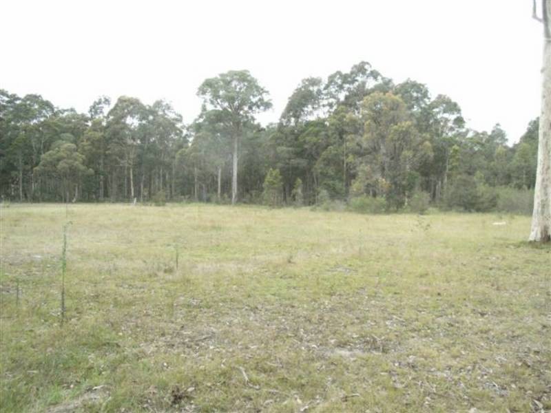 Lot 102 Forest Meadow Way, Worrigee NSW 2540