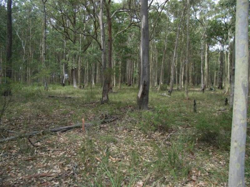 Lot 102 Forest Meadow Way, Worrigee NSW 2540