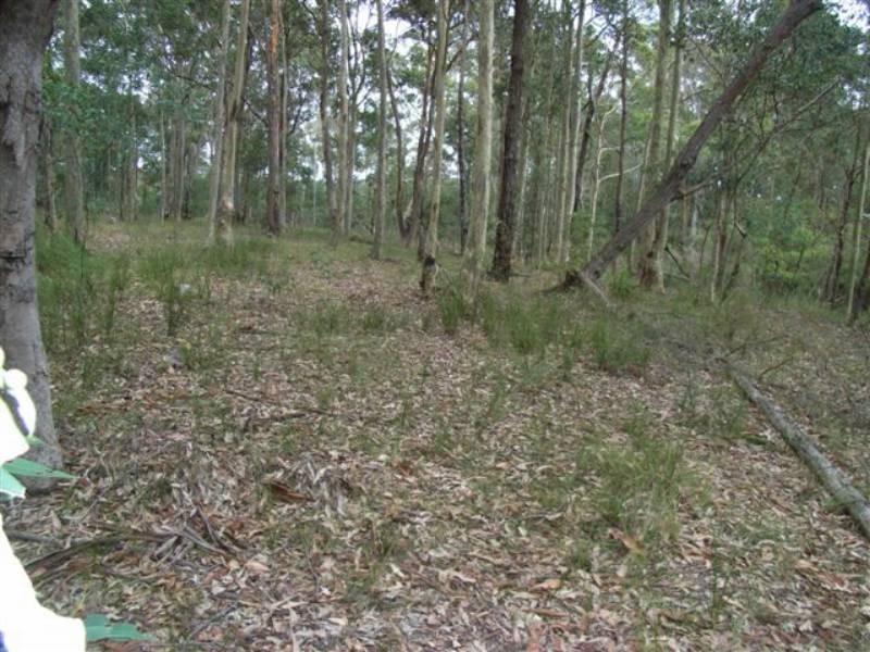 Lot 8 Burralee Drive, Worrigee NSW 2540