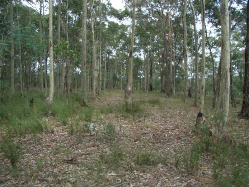 Lot 8 Burralee Drive, Worrigee NSW 2540