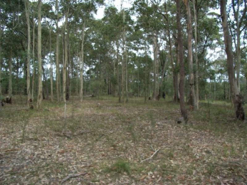 Lot 8 Burralee Drive, Worrigee NSW 2540