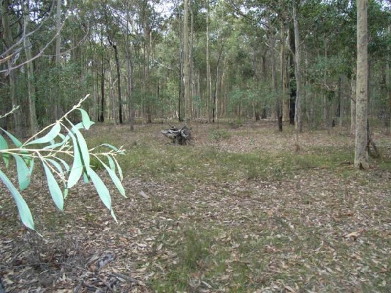 Lot 8 Burralee Drive, Worrigee NSW 2540