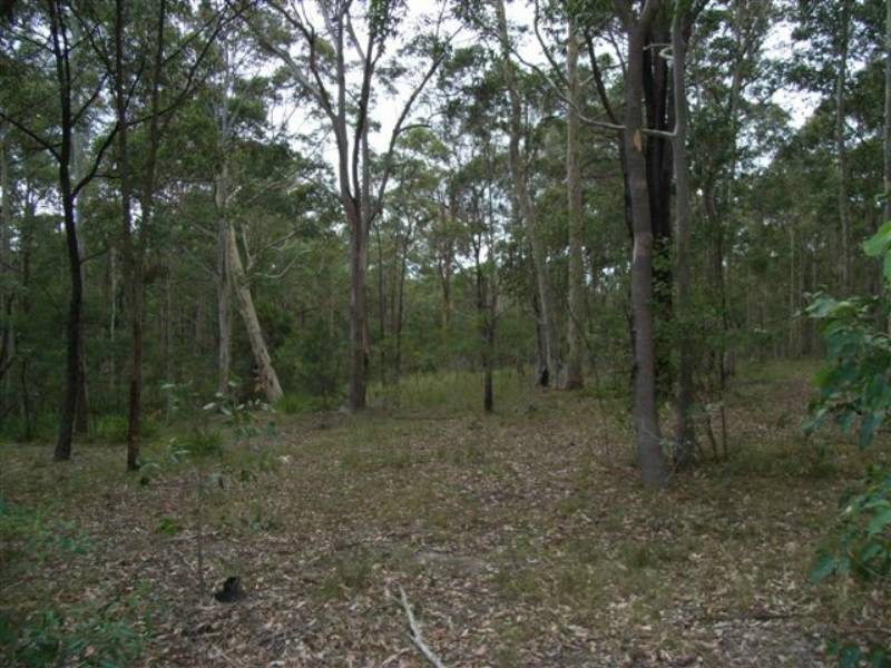 Lot 8 Burralee Drive, Worrigee NSW 2540