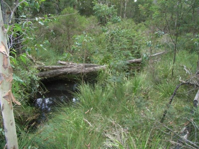 Lot 8 Burralee Drive, Worrigee NSW 2540