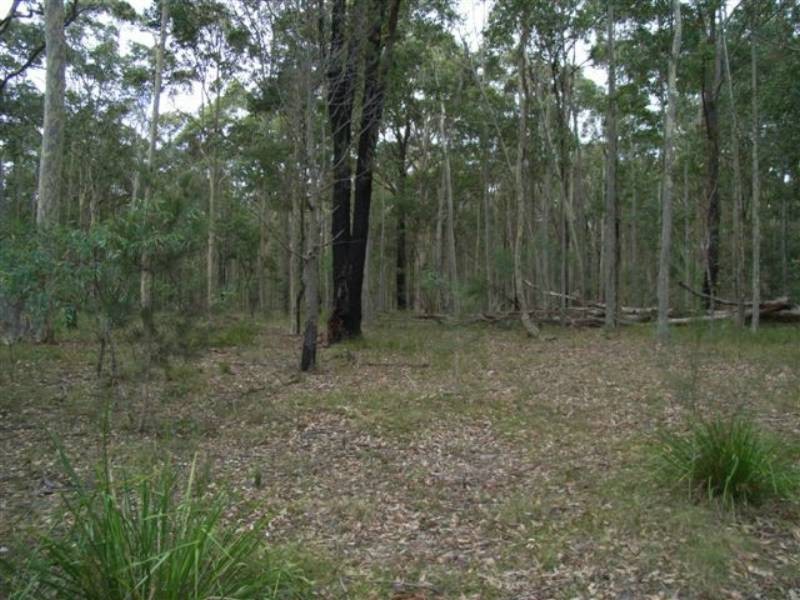 Lot 8 Burralee Drive, Worrigee NSW 2540