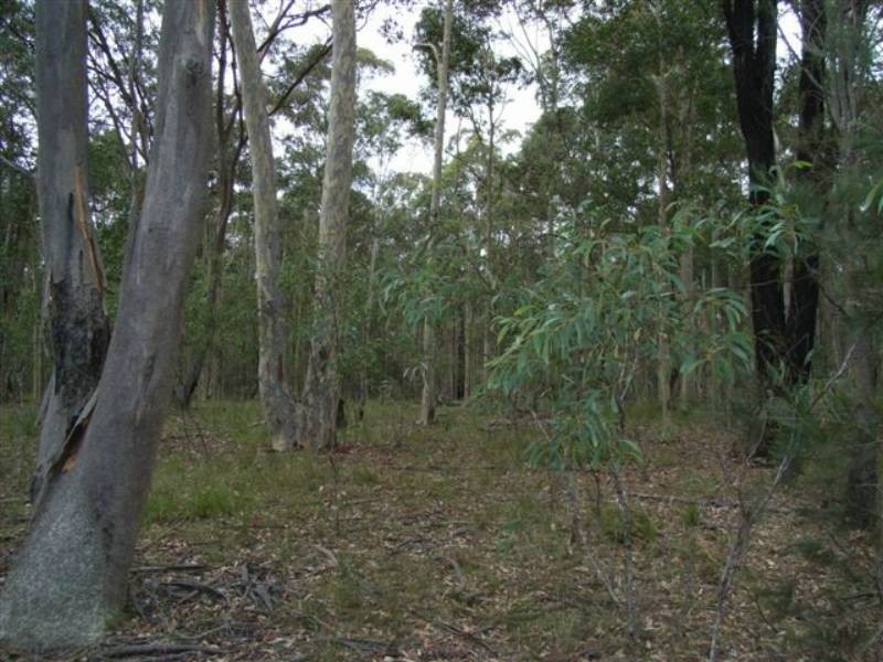 Lot 8 Burralee Drive, Worrigee NSW 2540
