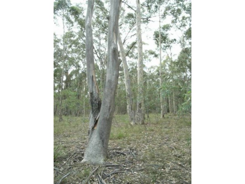 Lot 8 Burralee Drive, Worrigee NSW 2540