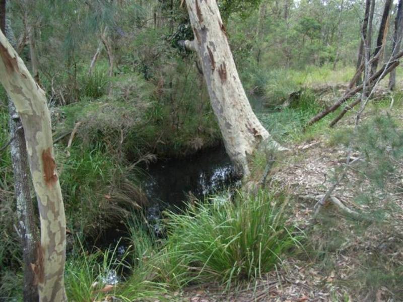 Lot 8 Burralee Drive, Worrigee NSW 2540