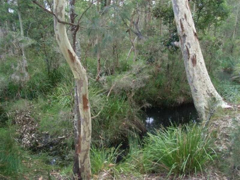 Lot 8 Burralee Drive, Worrigee NSW 2540