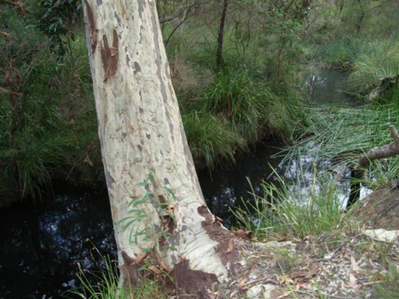 Lot 8 Burralee Drive, Worrigee NSW 2540