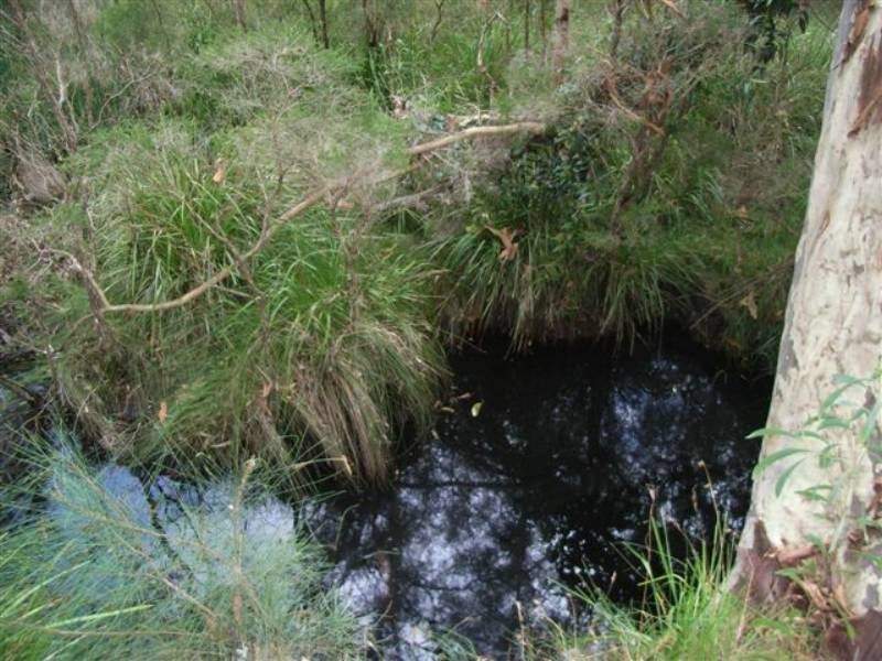 Lot 8 Burralee Drive, Worrigee NSW 2540