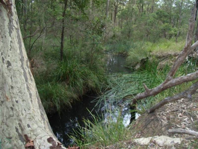 Lot 8 Burralee Drive, Worrigee NSW 2540