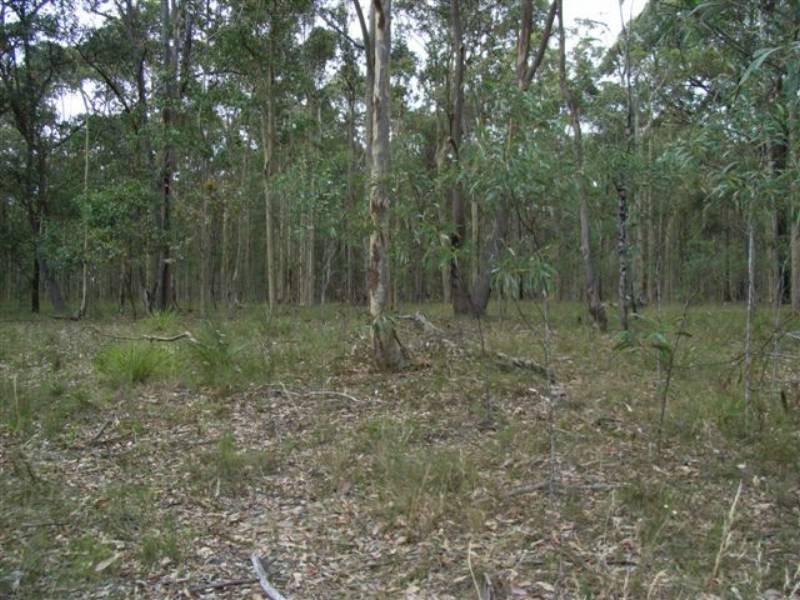 Lot 8 Burralee Drive, Worrigee NSW 2540