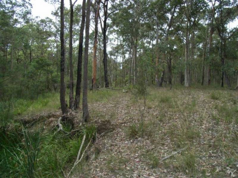 Lot 8 Burralee Drive, Worrigee NSW 2540