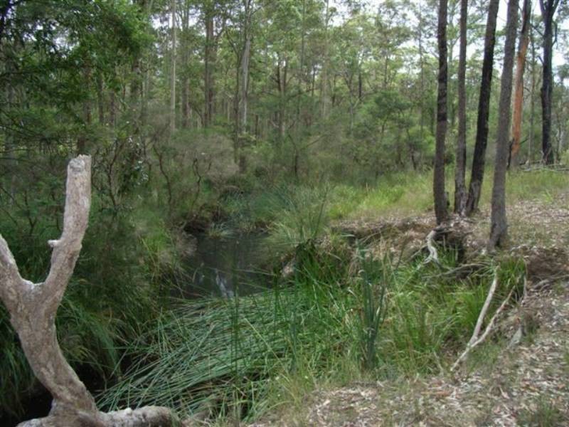 Lot 8 Burralee Drive, Worrigee NSW 2540