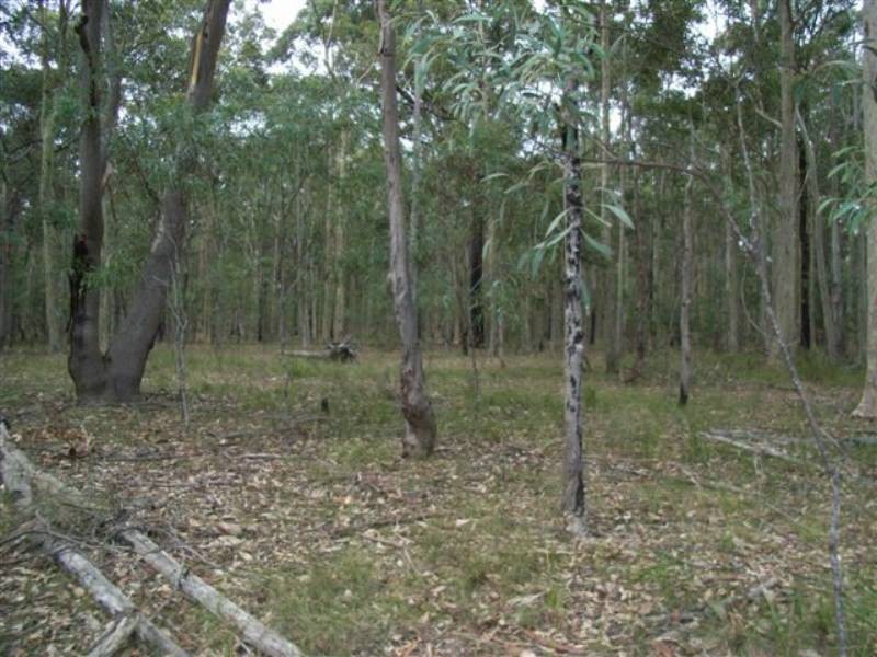 Lot 8 Burralee Drive, Worrigee NSW 2540