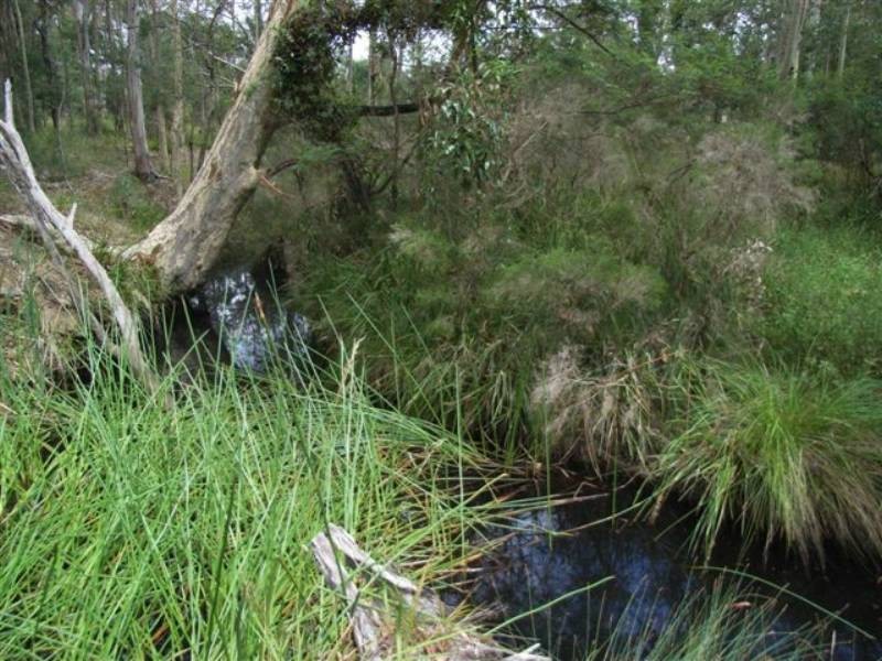 Lot 8 Burralee Drive, Worrigee NSW 2540